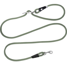 Laisse curli T. vert