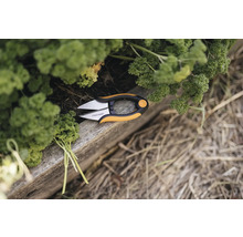 Ciseaux à herbes Fiskars à côté de persil frais sur une planche en bois