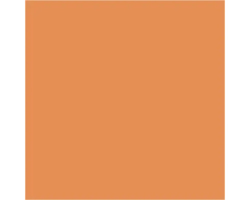 Steingut Wandfliese orange matt 19.8 x 19.8 x 0.65 cm Einfarbiger Hintergrund