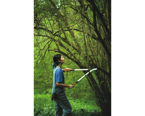 Femme utilisant une cisaille à branches dans le jardin pour tailler des branches