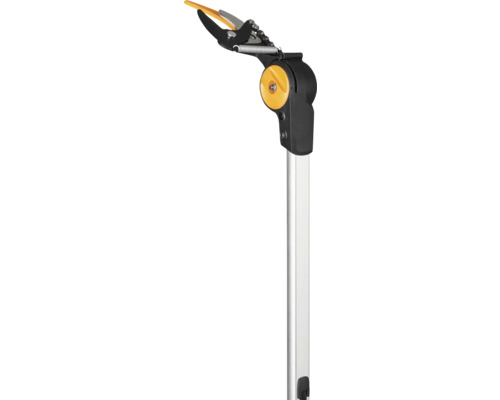 Sécateur télescopique pour l''élagage des arbres