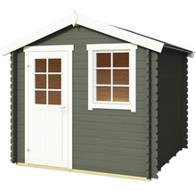 Abri de jardin avec porte et fenêtre