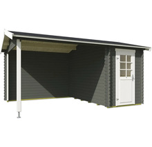 Abri de jardin en bois avec auvent et porte