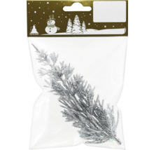 Branche de sapin scintillante dans un emballage comme décoration de Noël