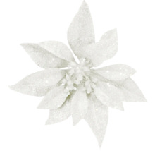 Dekorative Poinsettie mit Glitzer für festliche Dekorationen