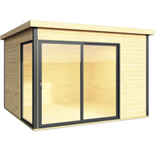 Abri de jardin en bois avec porte coulissante en verre