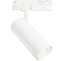 Einzelne, zylindrische Schienenleuchte