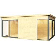 Abri de jardin en bois avec porte coulissante et façade vitrée