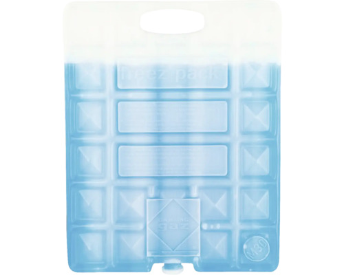 Pain de glace Camping Gaz