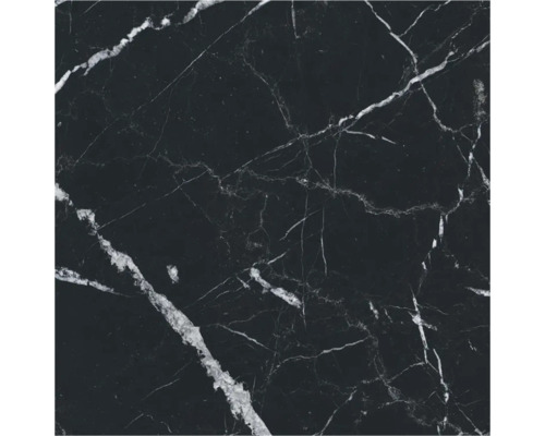 form & style Feinsteinzeug Wand- und Bodenfliese SIENA schwarz 60 cm x 60 cm x 0.93 cm Fliesenmuster in Marmoroptik mit Maserung
