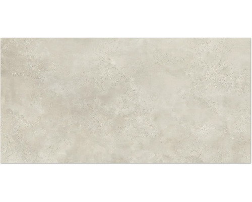 Feinsteinzeug Wand- und Bodenfliese Fond beige BxLxS 80 cm x 160 cm x 0,9 cm Feinsteinzeug Wand- und Bodenfliese Fond beige BxLxS 80 cm x 160 cm x 0,9 cm