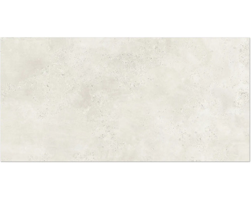 Feinsteinzeug Wand- und Bodenfliese Fond white BxLxS 60 cm x 120 cm x 0,9 cm Feinsteinzeug Wand- und Bodenfliese Fond white BxLxS 60 cm x 120 cm x 0,9 cm