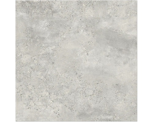 Feinsteinzeug Wand- und Bodenfliese Fond pearl BxLxS 80 cm x 80 cm x 0,9 cm Feinsteinzeug Wand- und Bodenfliese Fond pearl BxLxS 80 cm x 80 cm x 0,9 cm