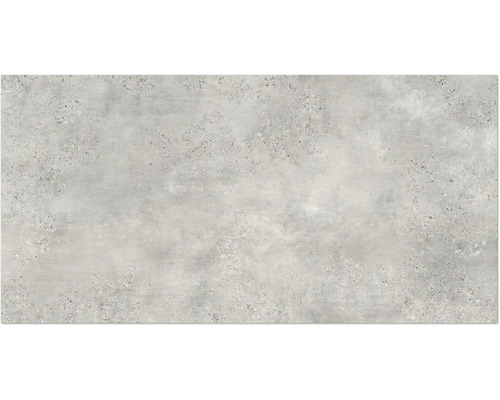 Feinsteinzeug Wand- und Bodenfliese Fond pearl BxLxS 80 cm x 160 cm x 0,9 cm Feinsteinzeug Wand- und Bodenfliese Fond pearl BxLxS 80 cm x 160 cm x 0,9 cm