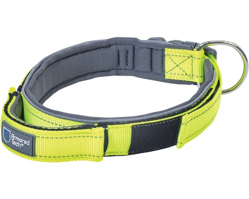 Hundehalsband aus Textil mit D-Ring