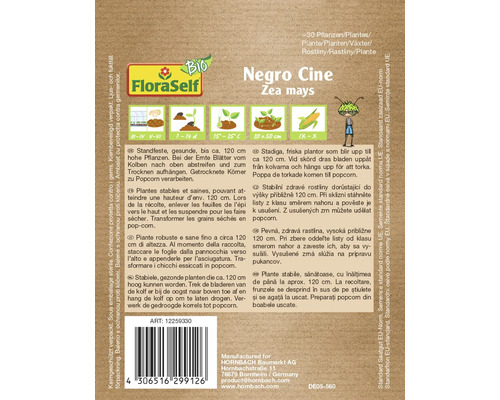 Sachet de graines Negro Cine Zea mays
