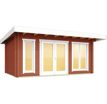 Abri de jardin avec double porte et fenêtres