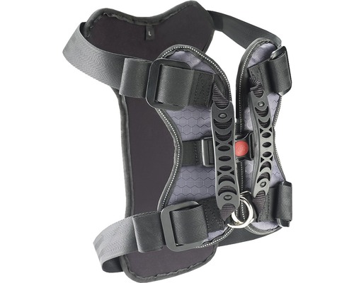 Harnais pour chien avec sangles réglables