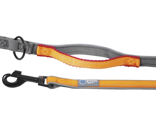 Hundeleine mit Griff und Karabinerhaken