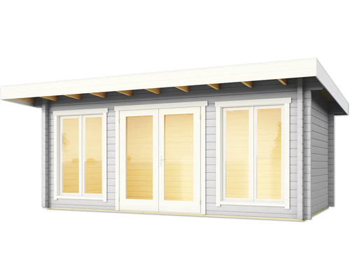 Abri de jardin avec fenêtres et double porte