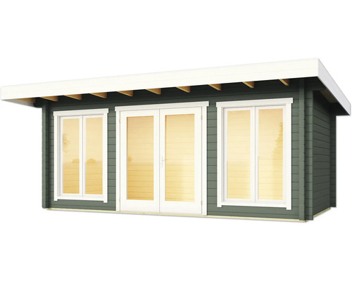 Abri de jardin avec fenêtres et porte double