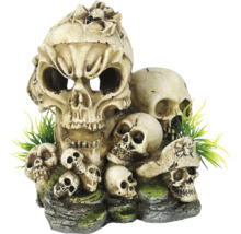 Groupe de crânes décoratifs avec plantes artificielles comme décoration d''aquarium