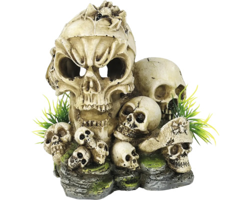Groupe de crânes décoratifs avec plantes artificielles comme décoration d''aquarium