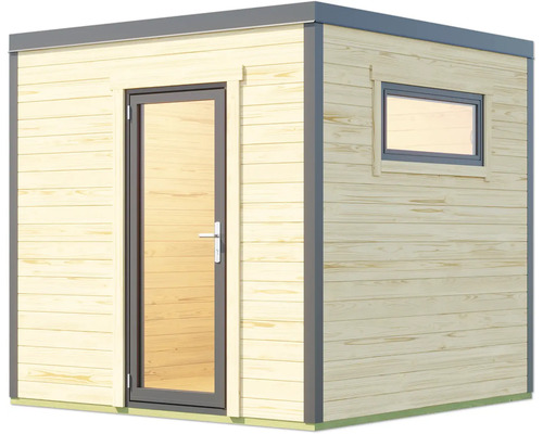 Abri de jardin avec porte et fenêtre