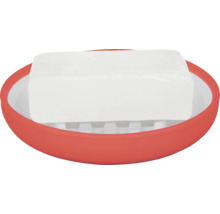 Porte-savon avec savon