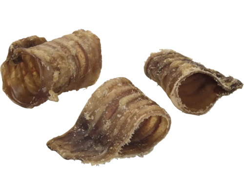 Drei Ochsenziemer als Hundekauartikel