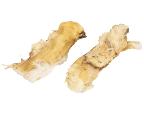 Zwei Knochen als Hundekauartikel