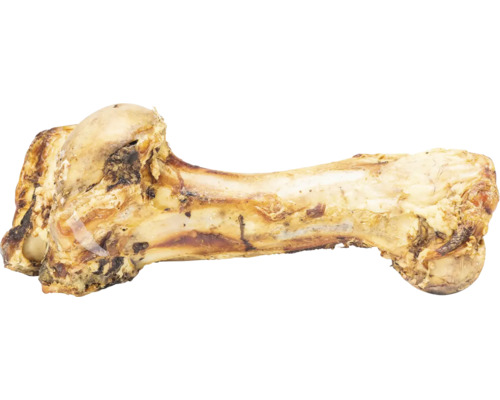 Os farci pour chiens