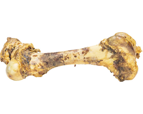 Knochen für Hunde