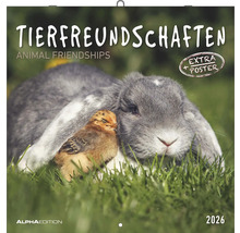 Tierfreundschaften Kalender 2026 mit Kaninchen und Küken