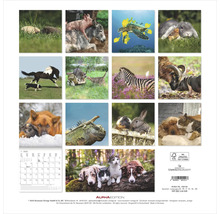 Tierkalender mit Monatsübersicht für das Jahr 2026.