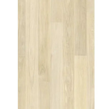 Vue d''un sol stratifié clair