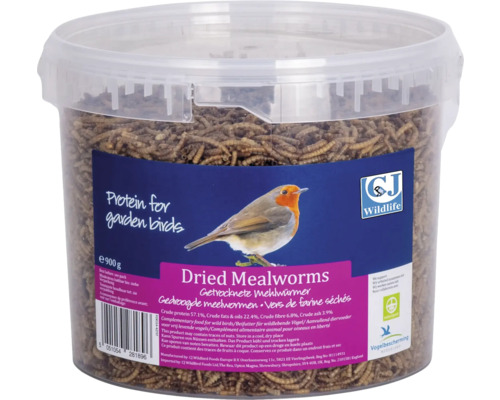 CJ Wildlife Vers de farine séchés dans un seau de 0,9 kg Vers de farine séchés comme nourriture pour oiseaux dans un récipient transparent
