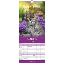 Agenda familiale 2026 avec motif de chatons et cinq colonnes