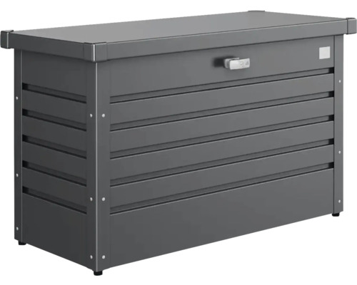 Coffre de jardin biohort 100, 101x46x61 cm gris foncé-métallisé