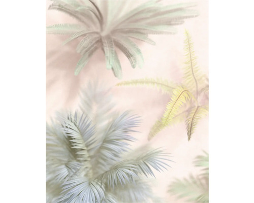 Illustration de feuilles de palmier