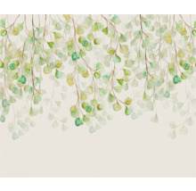 Papier peint décoratif avec des feuilles d''eucalyptus