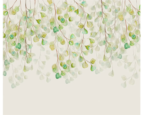 Papier peint décoratif avec des feuilles d''eucalyptus