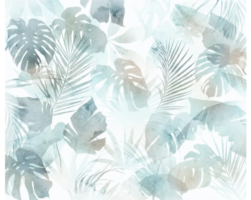 Illustration de feuilles tropicales