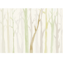 Illustration d''une forêt avec des arbres