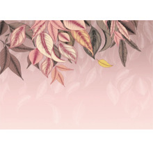 Illustration de feuilles sur un fond rose.