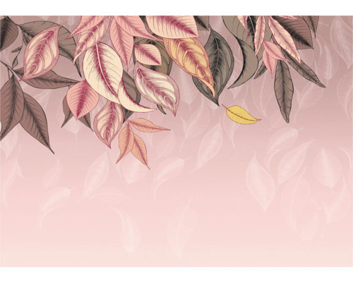 Illustration de feuilles sur un fond rose.
