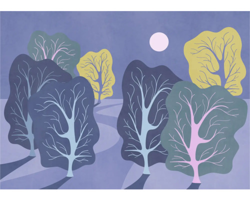 Illustration d''une scène de forêt nocturne avec des arbres et la lune