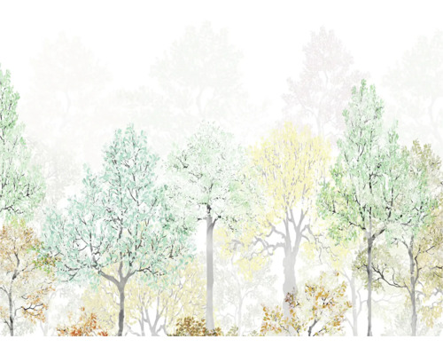 Papier peint avec motif de forêt et différentes essences d''arbres