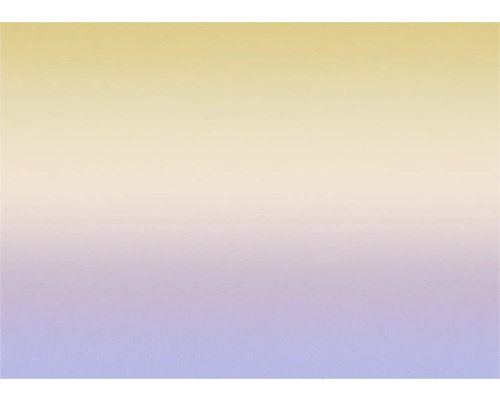 Dégradé de couleurs allant du jaune au violet