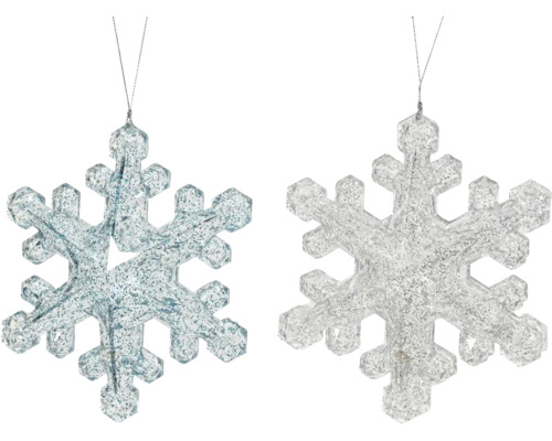 Deux flocons de neige scintillants pour la décoration